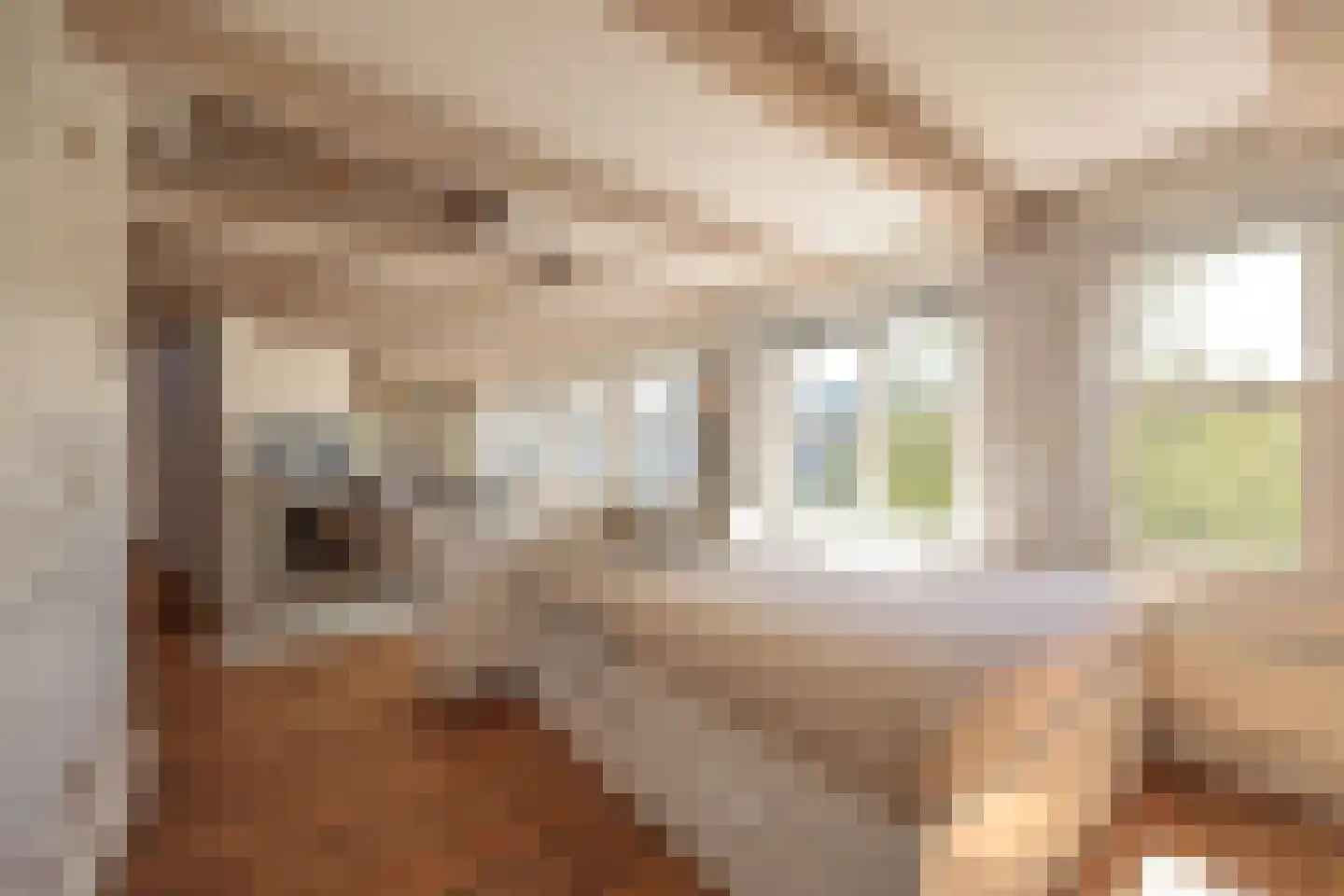 Herengracht 485 Amsterdam thumbnail 40