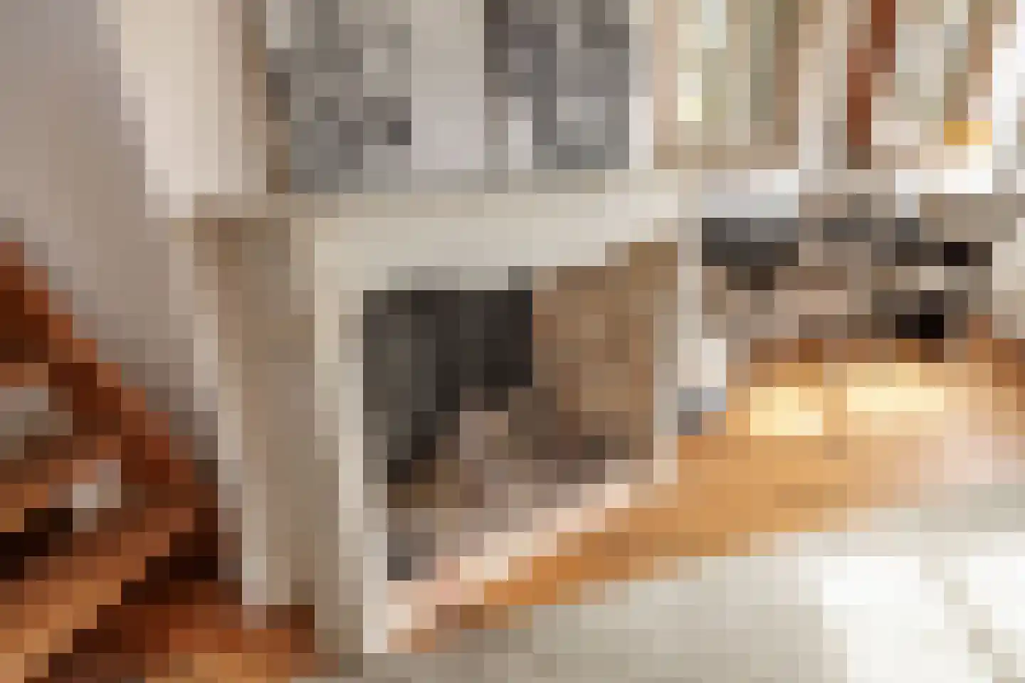 Herengracht 485 Amsterdam thumbnail 41