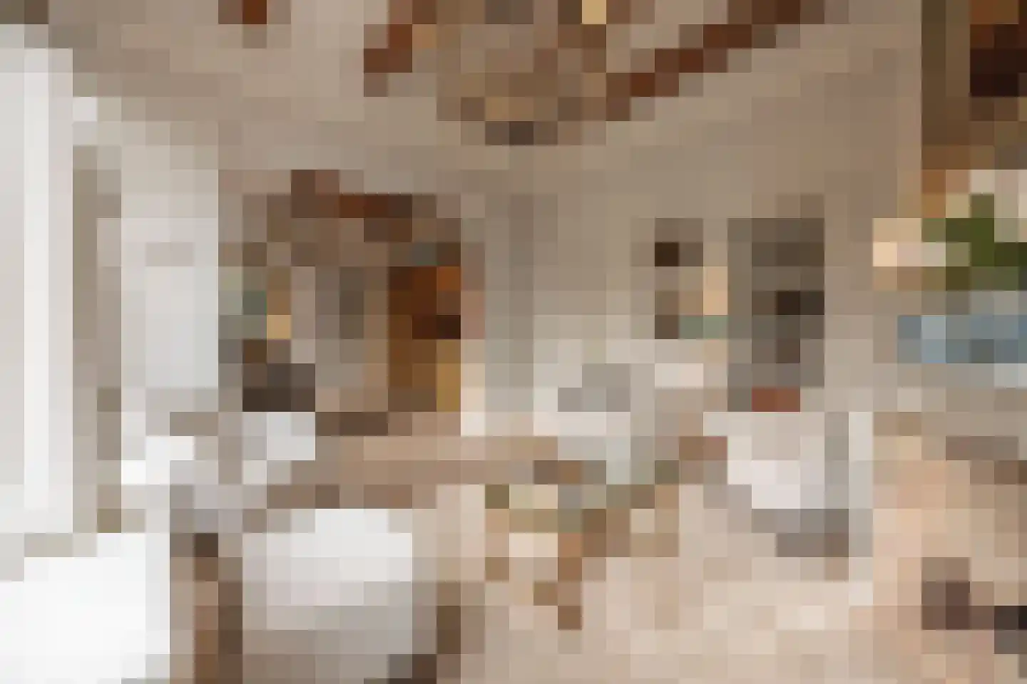 Herengracht 485 Amsterdam thumbnail 5