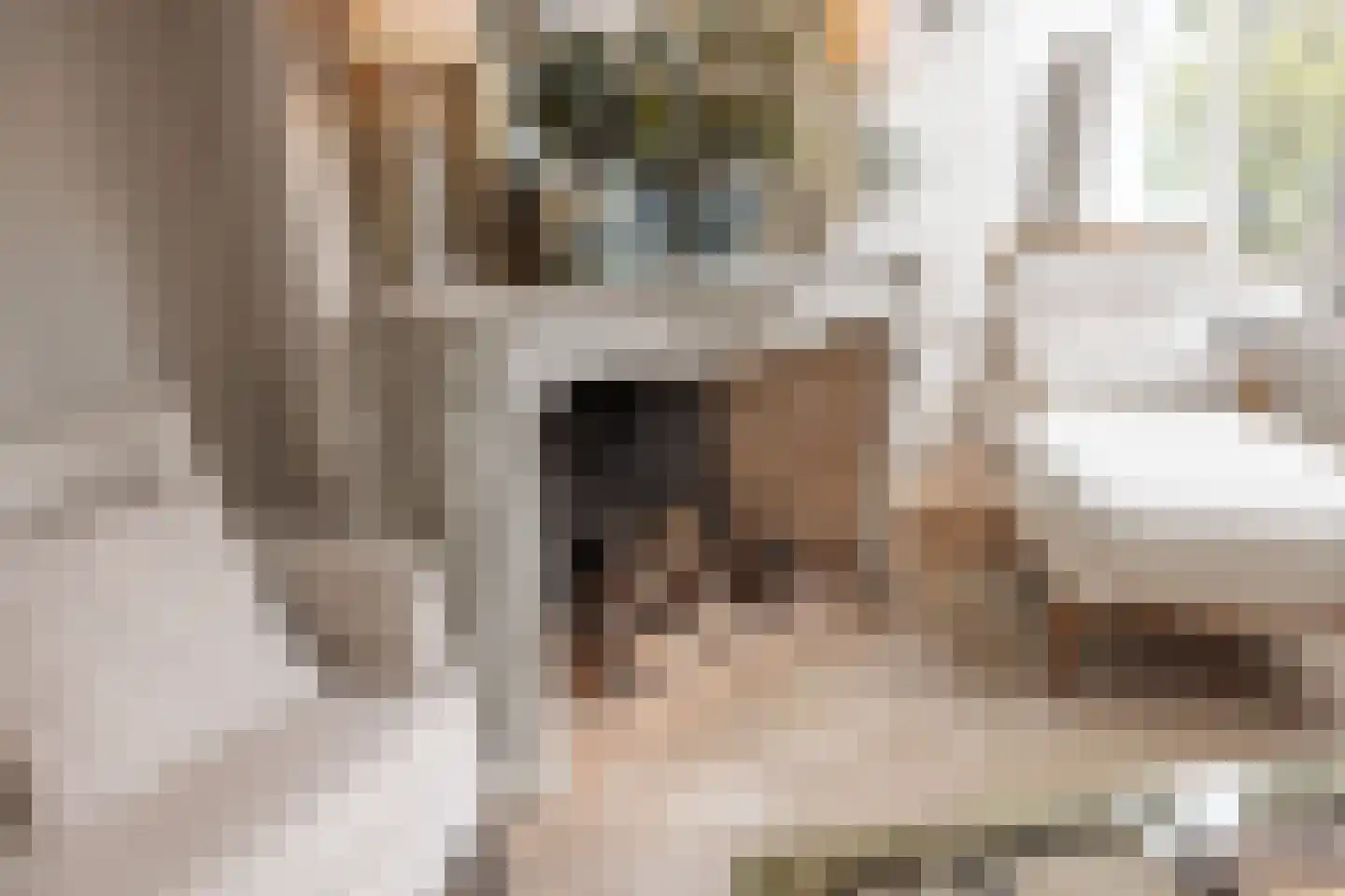 Herengracht 485 Amsterdam thumbnail 6