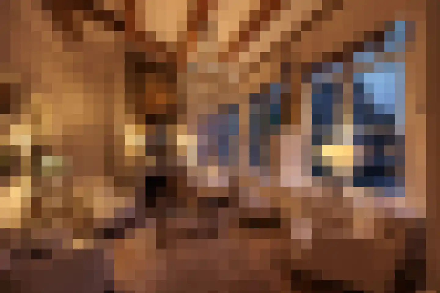 Herengracht 485 Amsterdam thumbnail 65