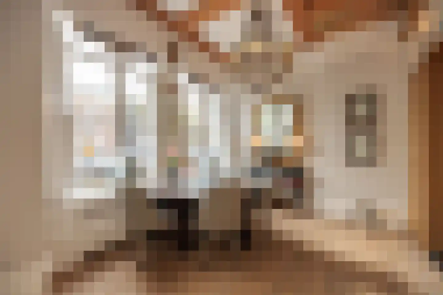 Herengracht 485 Amsterdam thumbnail 9