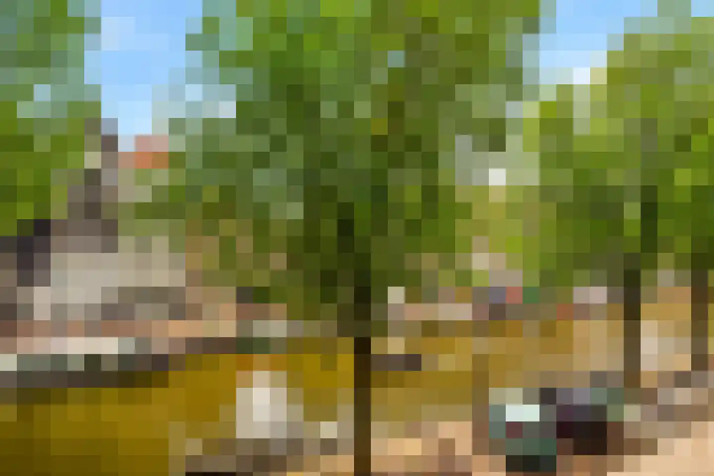 Herengracht 52 K Amsterdam thumbnail 8