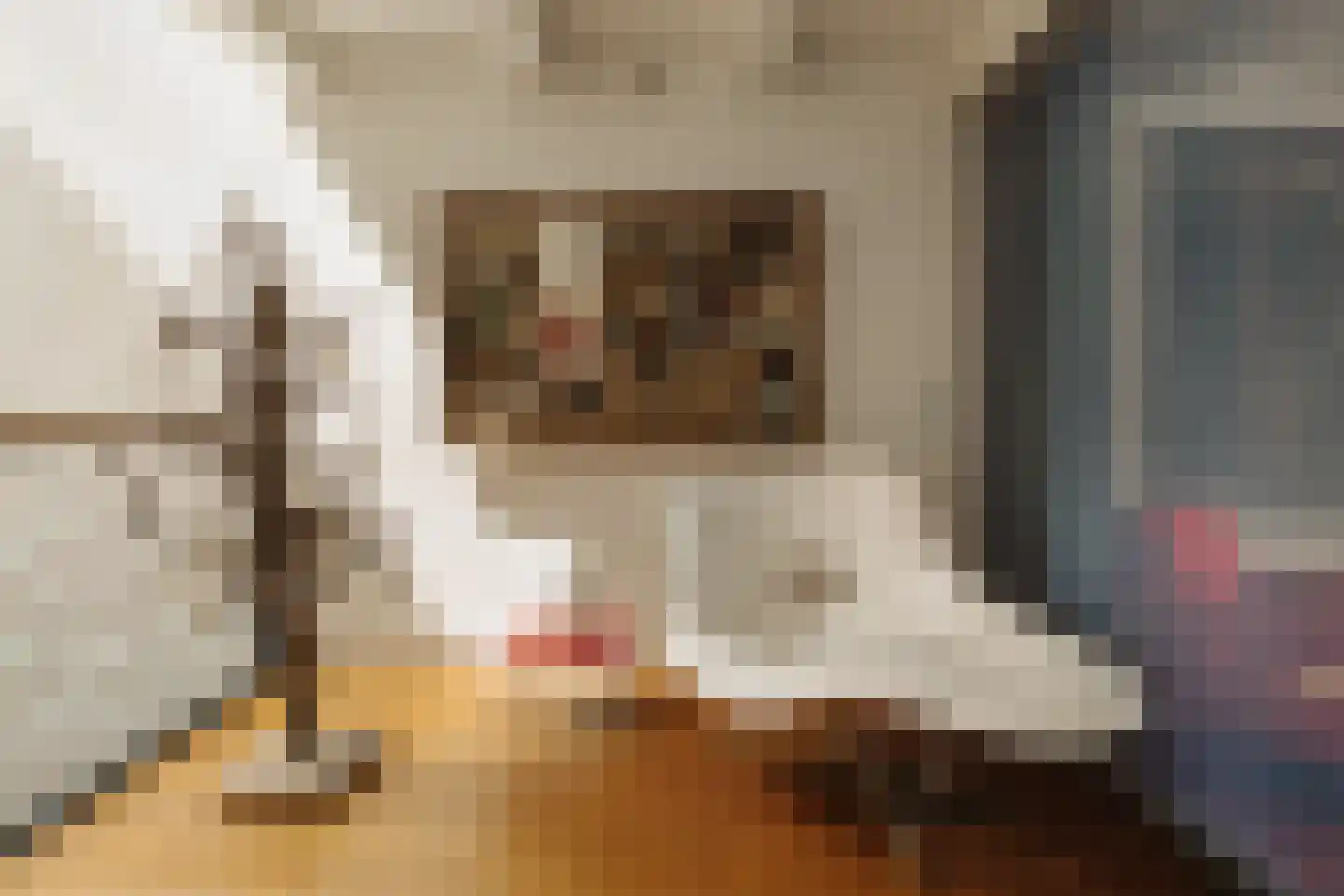 Herengracht 529 Amsterdam thumbnail 34