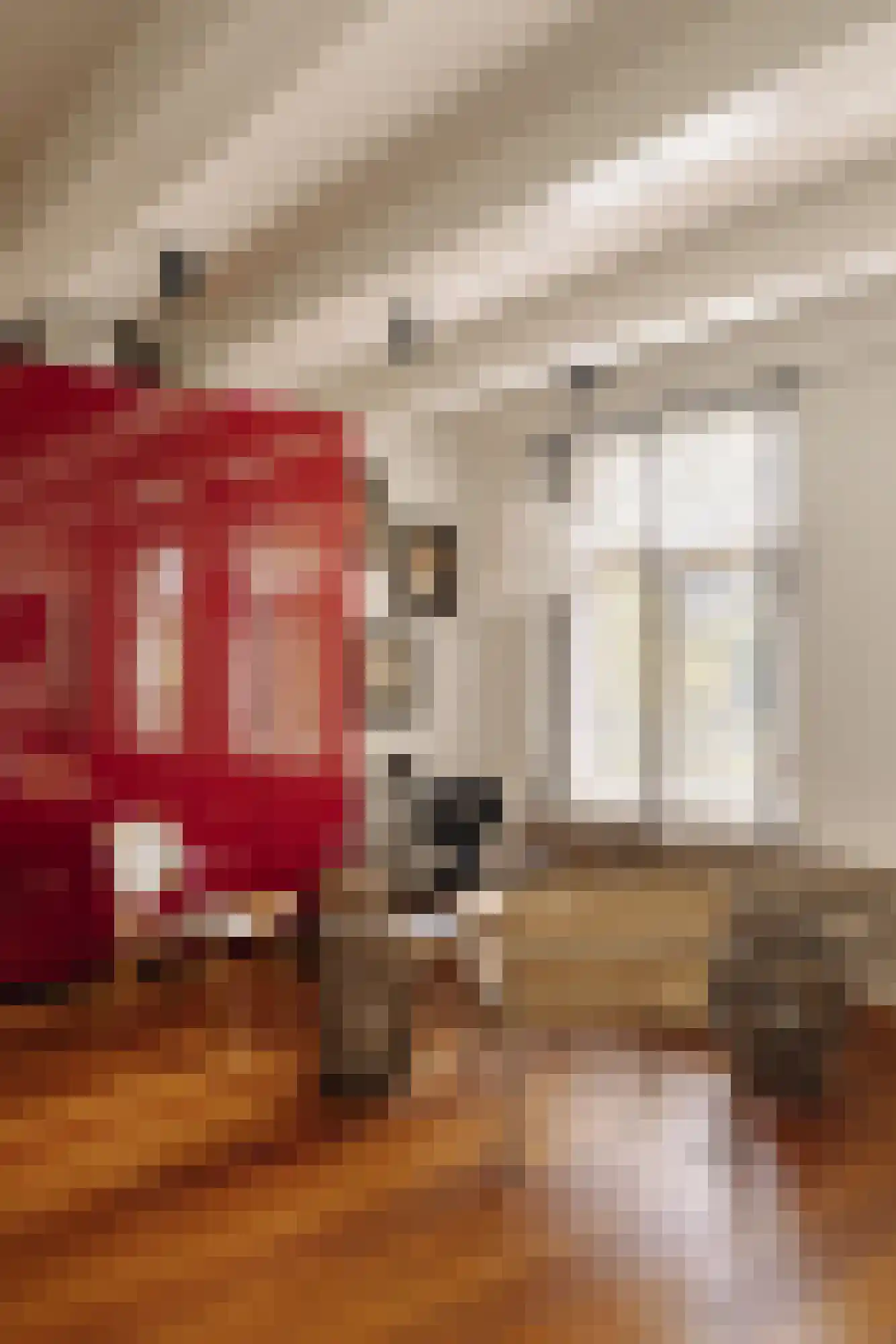 Herengracht 529 Amsterdam thumbnail 41