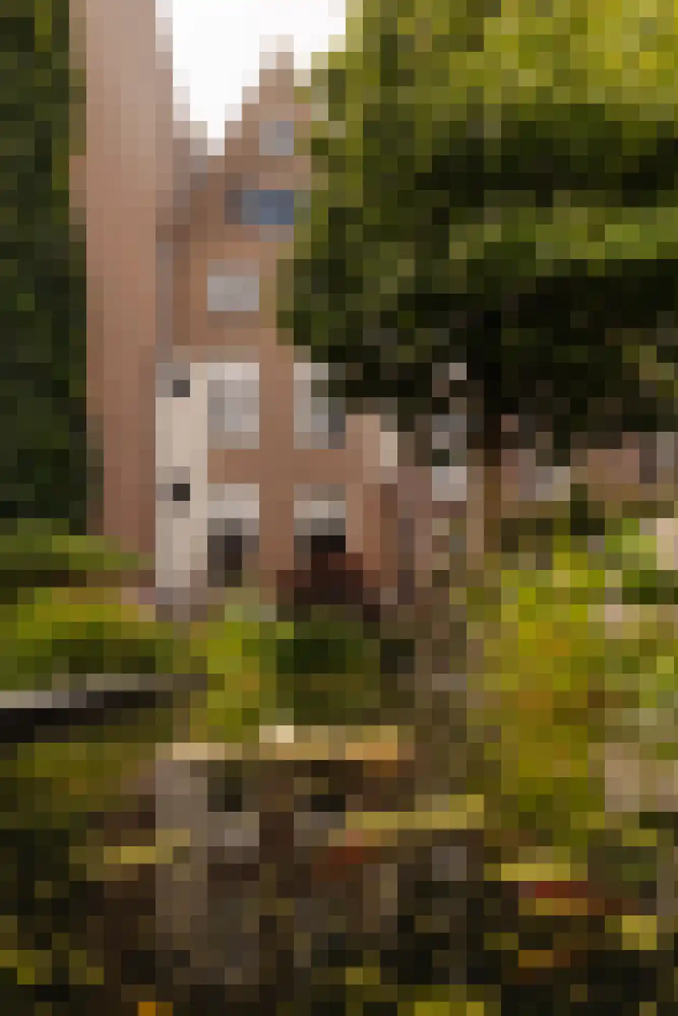 Herengracht 529 Amsterdam thumbnail 65
