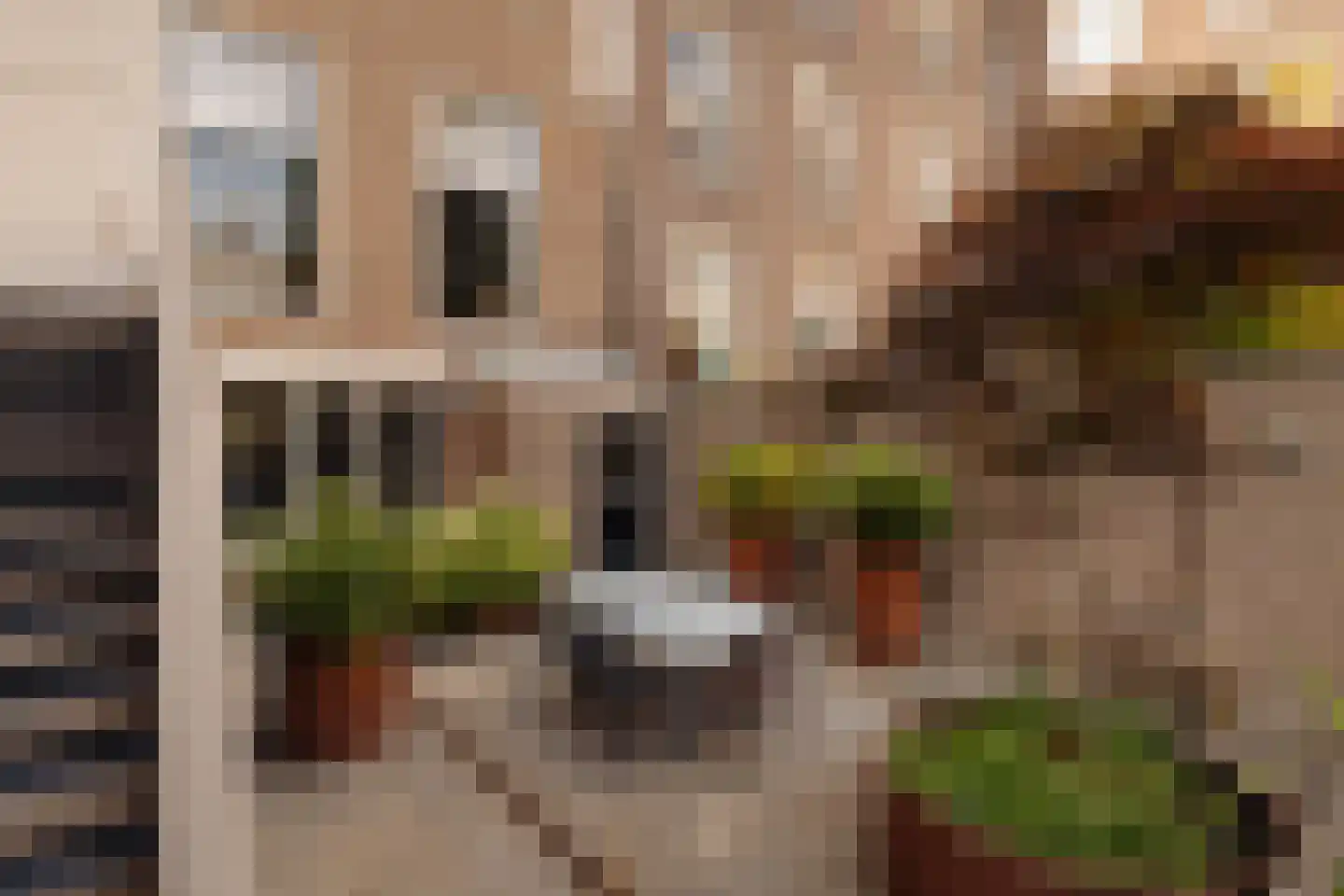 Herengracht 529 Amsterdam thumbnail 66