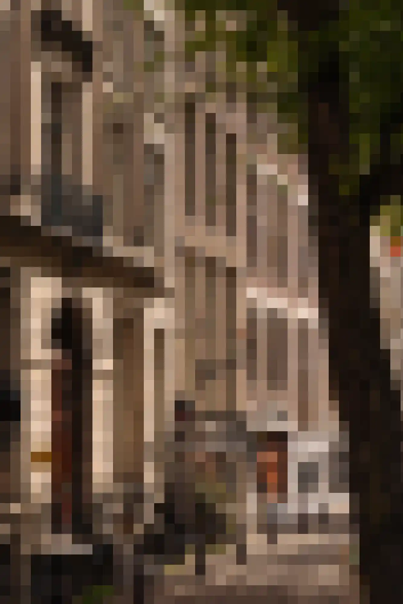 Herengracht 529 Amsterdam thumbnail 70