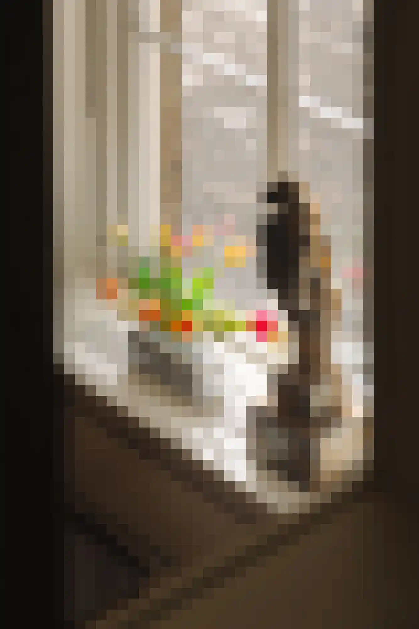 Herengracht 529 Amsterdam thumbnail 9
