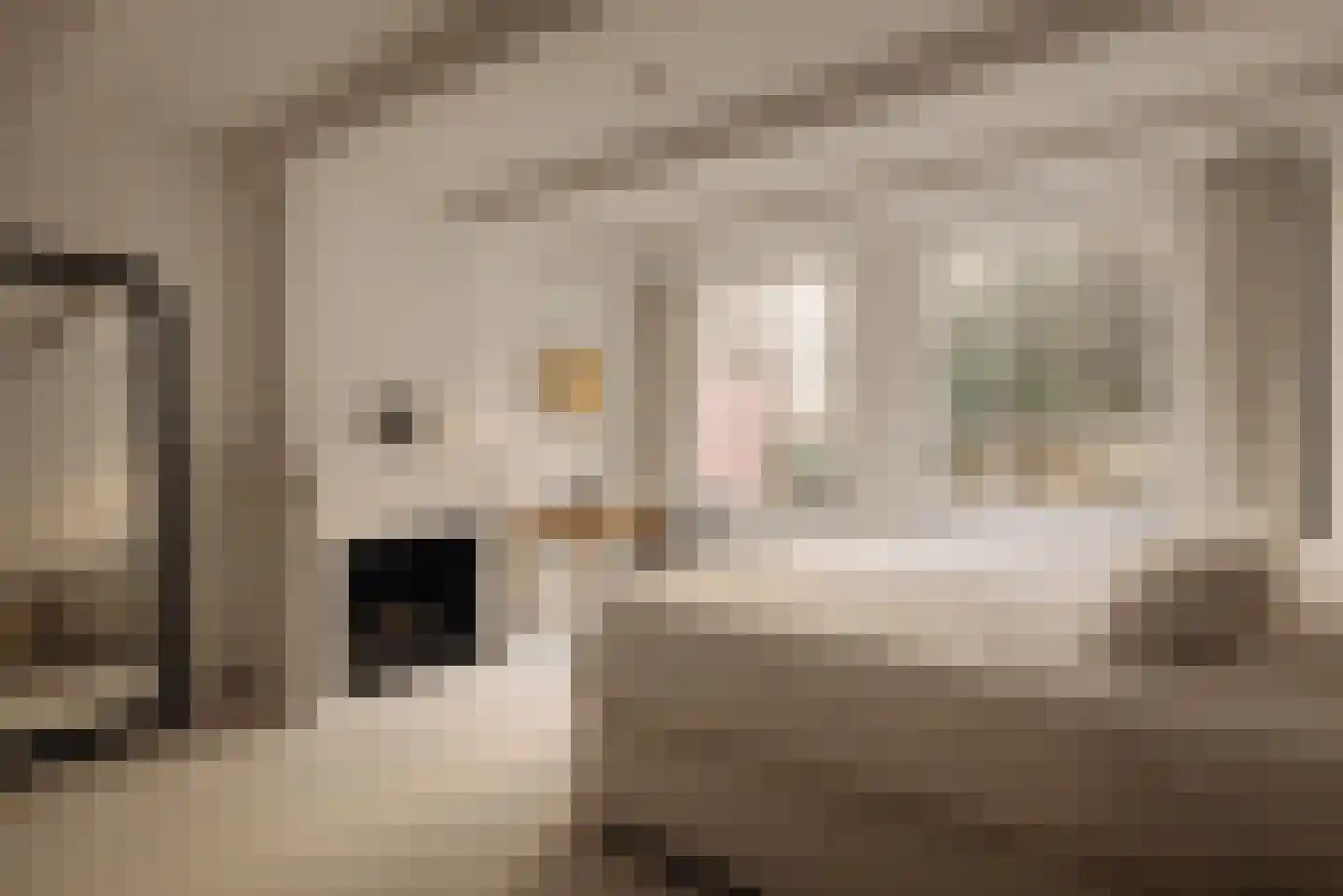 Herengracht 553 1 Amsterdam thumbnail 17