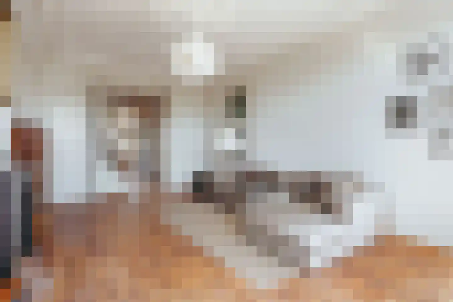 Herengracht 6 Amsterdam thumbnail 38