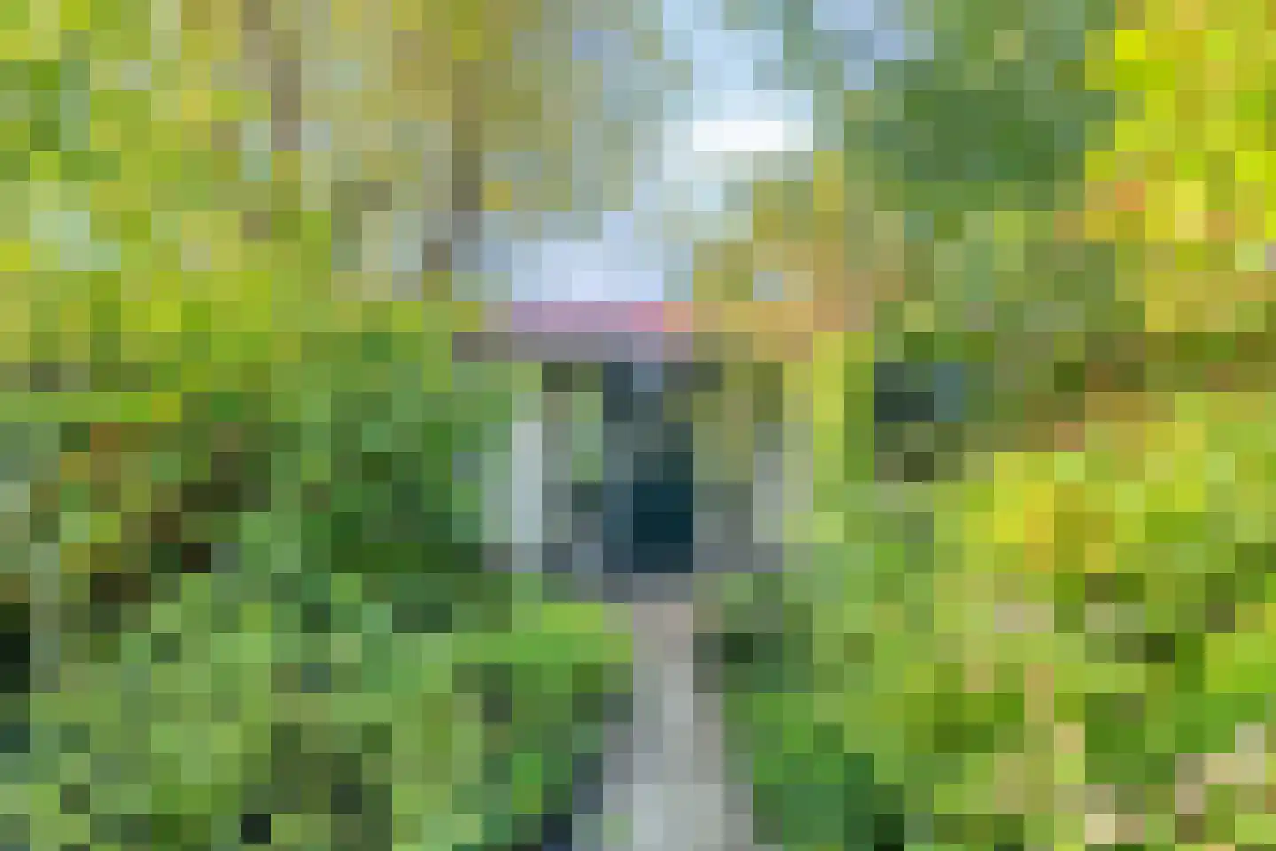 Herengracht 6 Purmerend thumbnail 13
