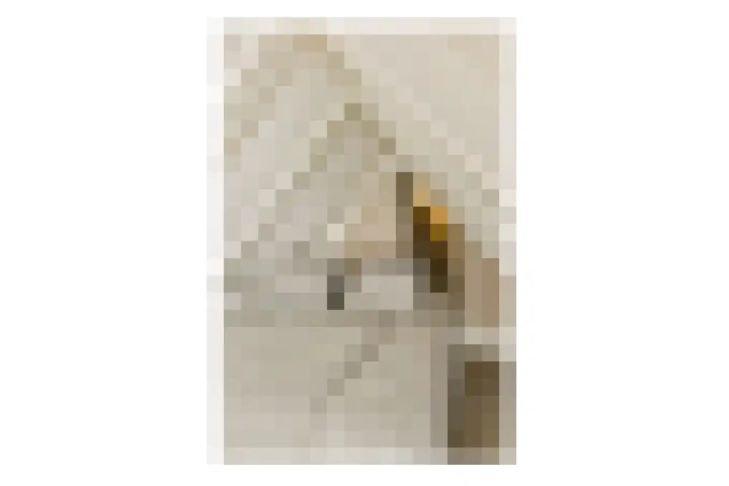 Herengracht 60 1A Amsterdam thumbnail 21
