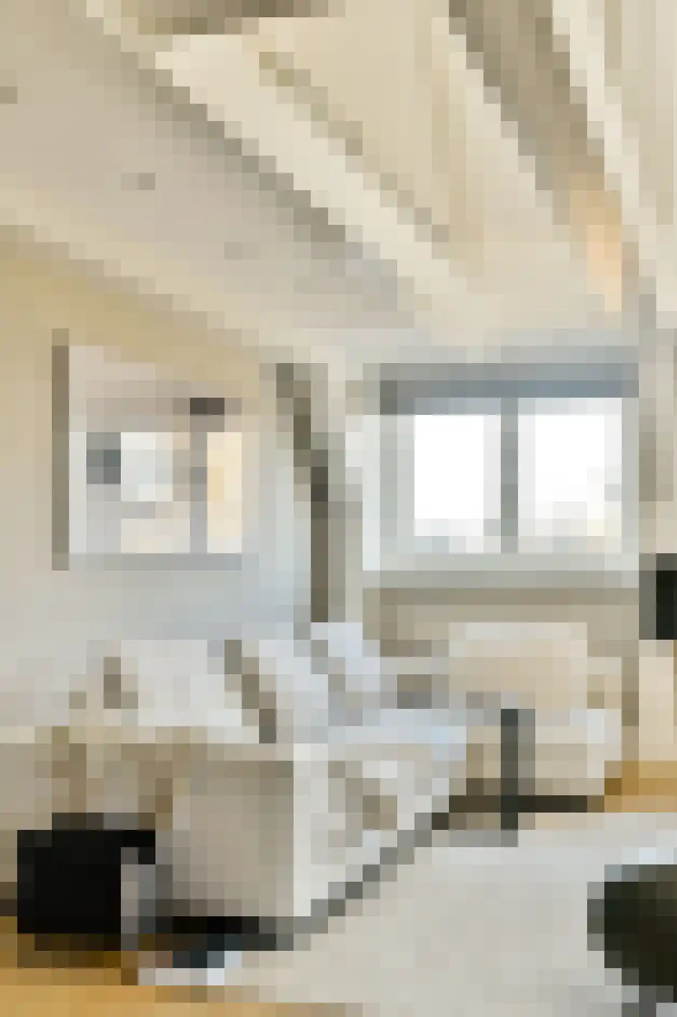 Herengracht 60 1A Amsterdam thumbnail 8