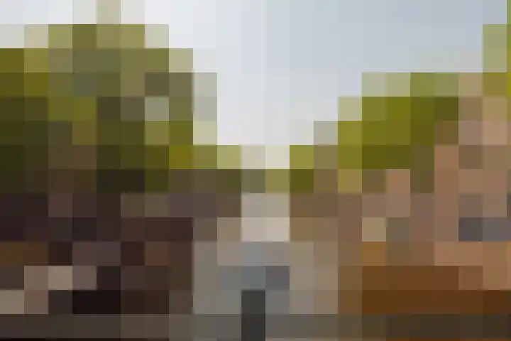 Herengracht 611 3V Amsterdam thumbnail 18
