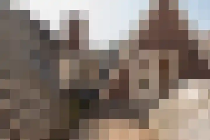 Herengracht 611 3V Amsterdam thumbnail 21