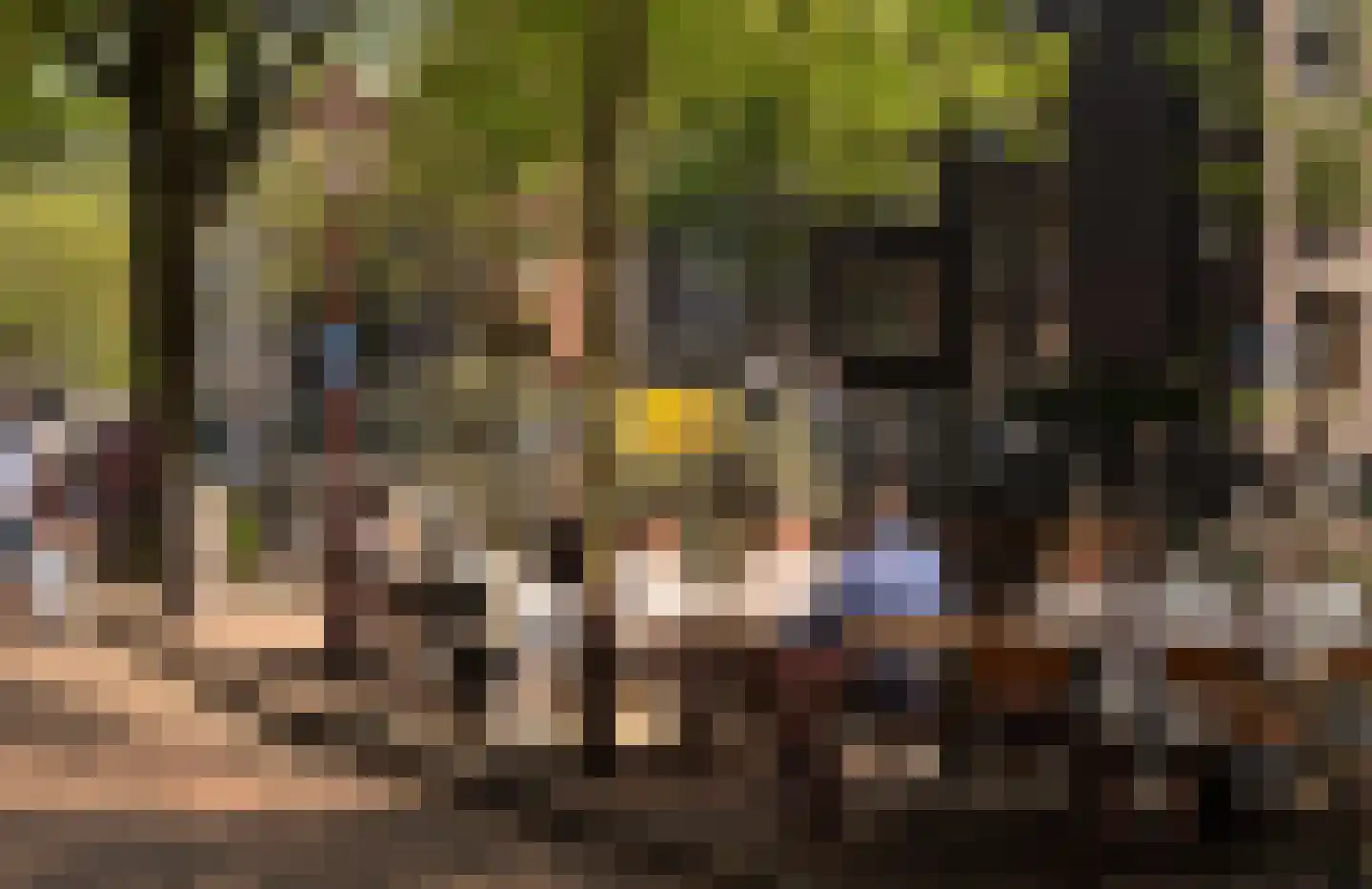Herengracht 76 1 Amsterdam thumbnail 37