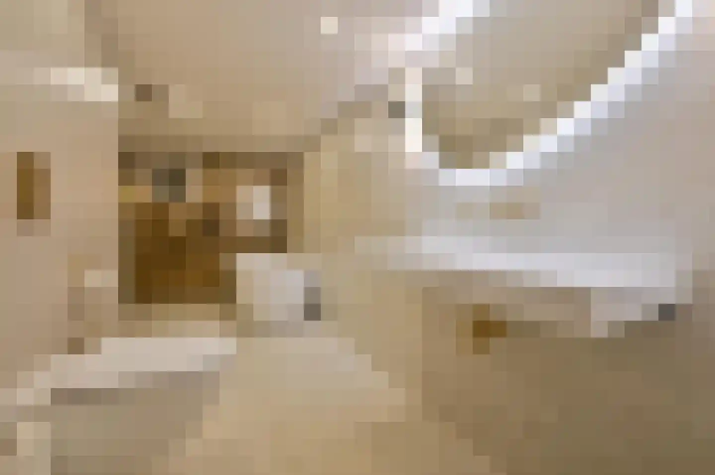Herengracht 76 Muiden thumbnail 16