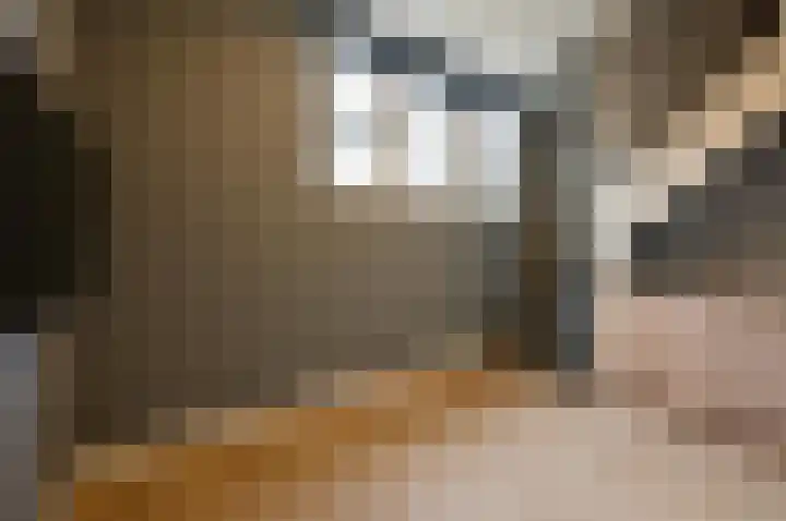 Herengracht 76 Muiden thumbnail 21