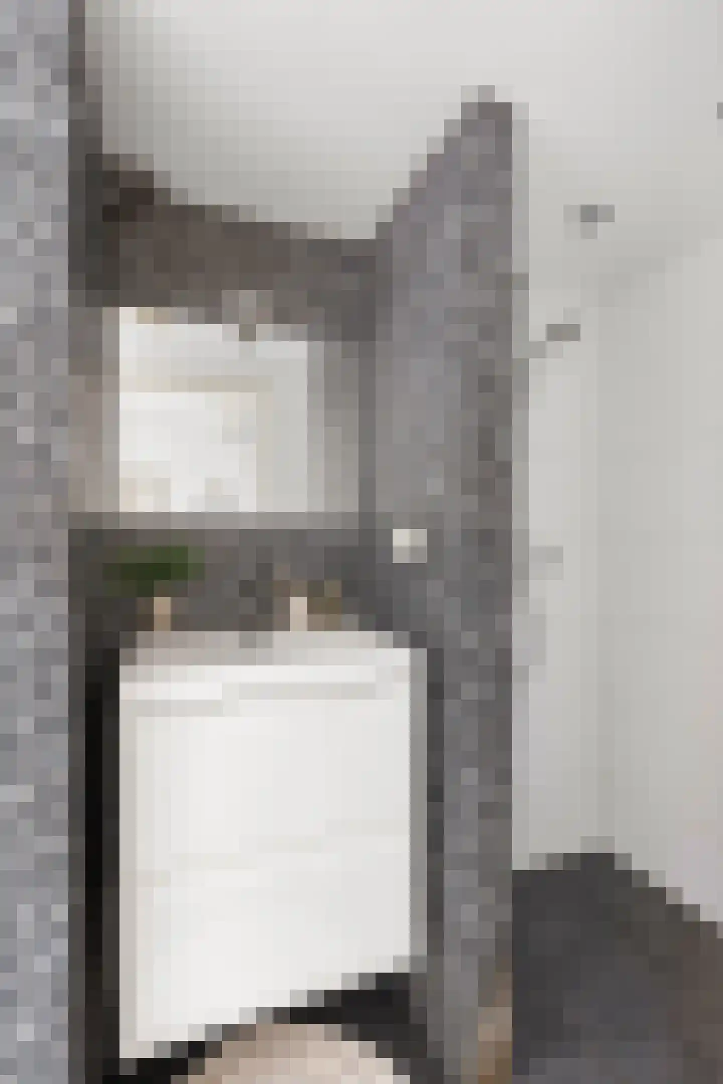 Herengracht 80 2 Amsterdam thumbnail 23