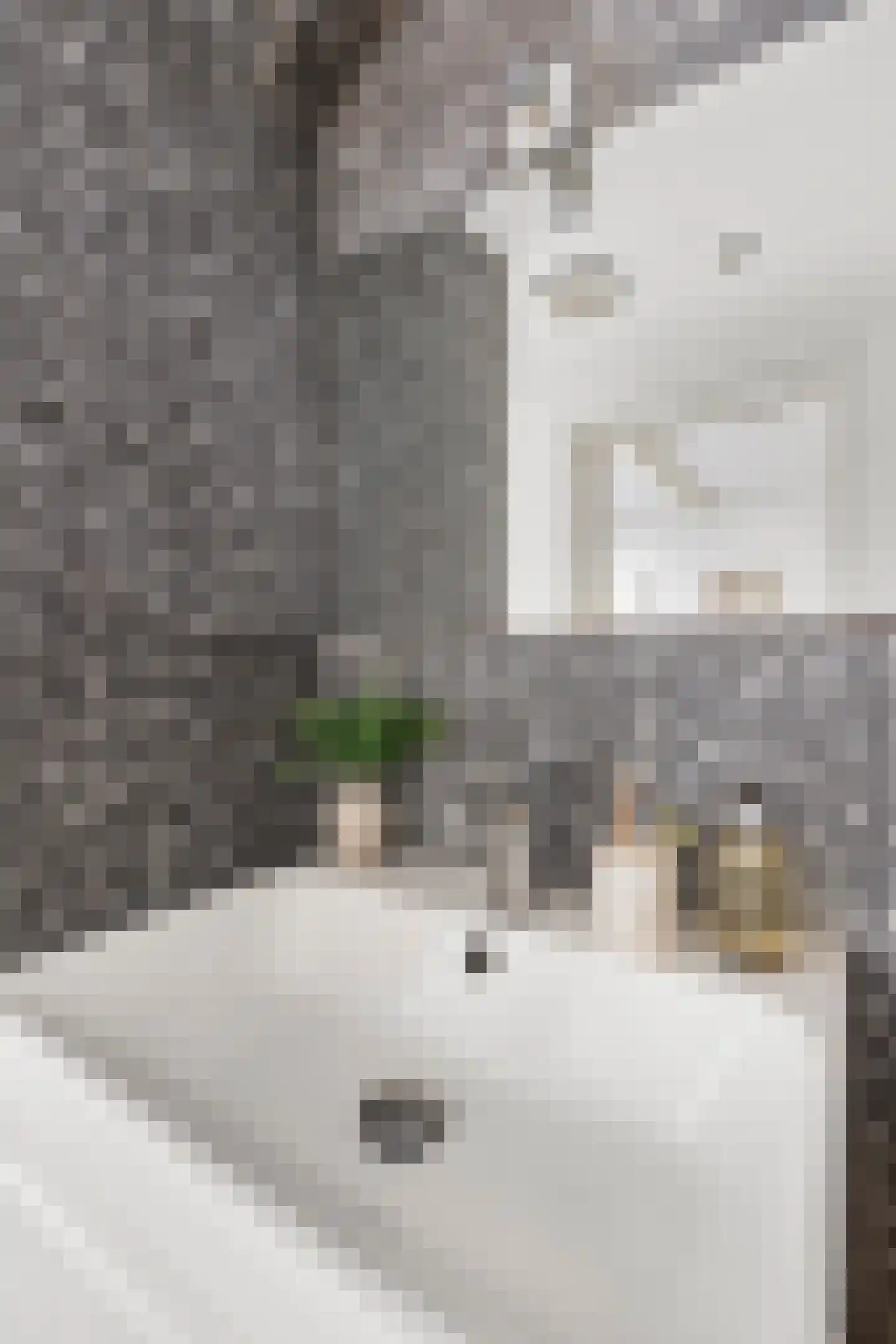 Herengracht 80 2 Amsterdam thumbnail 24