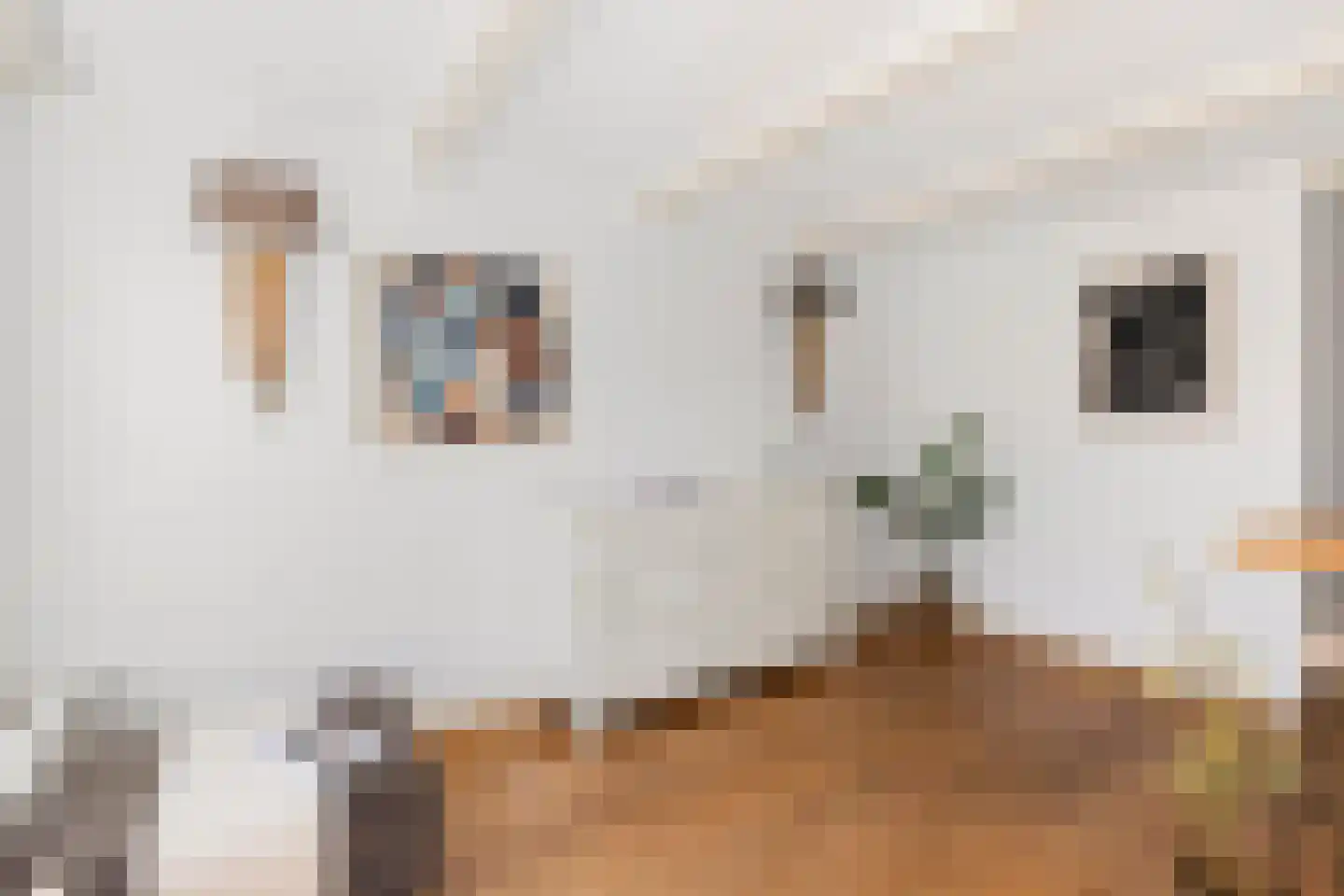 Herengracht 80 2 Amsterdam thumbnail 6