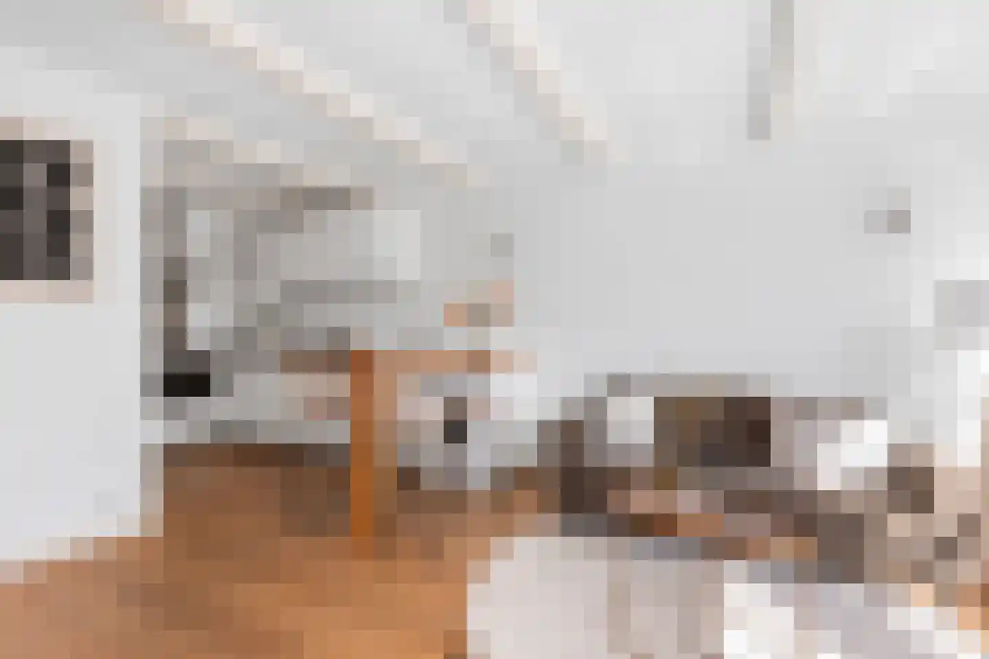 Herengracht 80 2 Amsterdam thumbnail 9