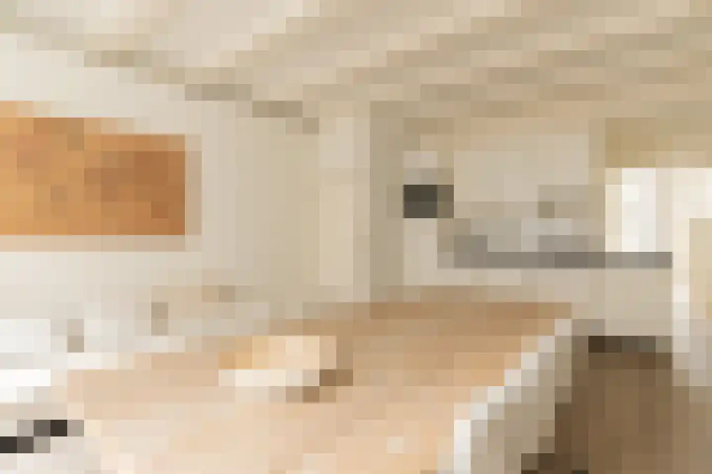 Herengracht 86 2 Amsterdam thumbnail 7