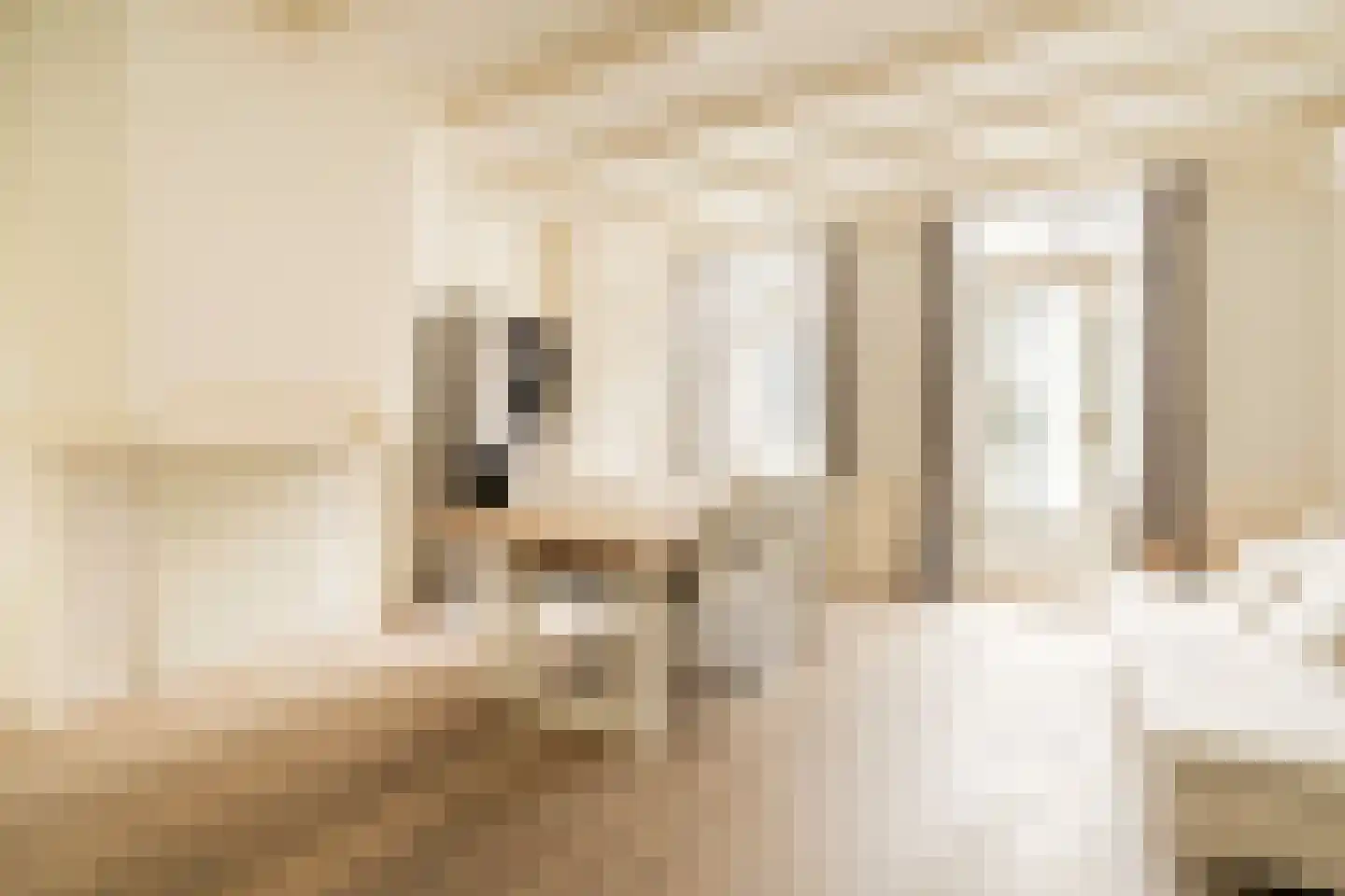 Herengracht 86 2 Amsterdam thumbnail 9