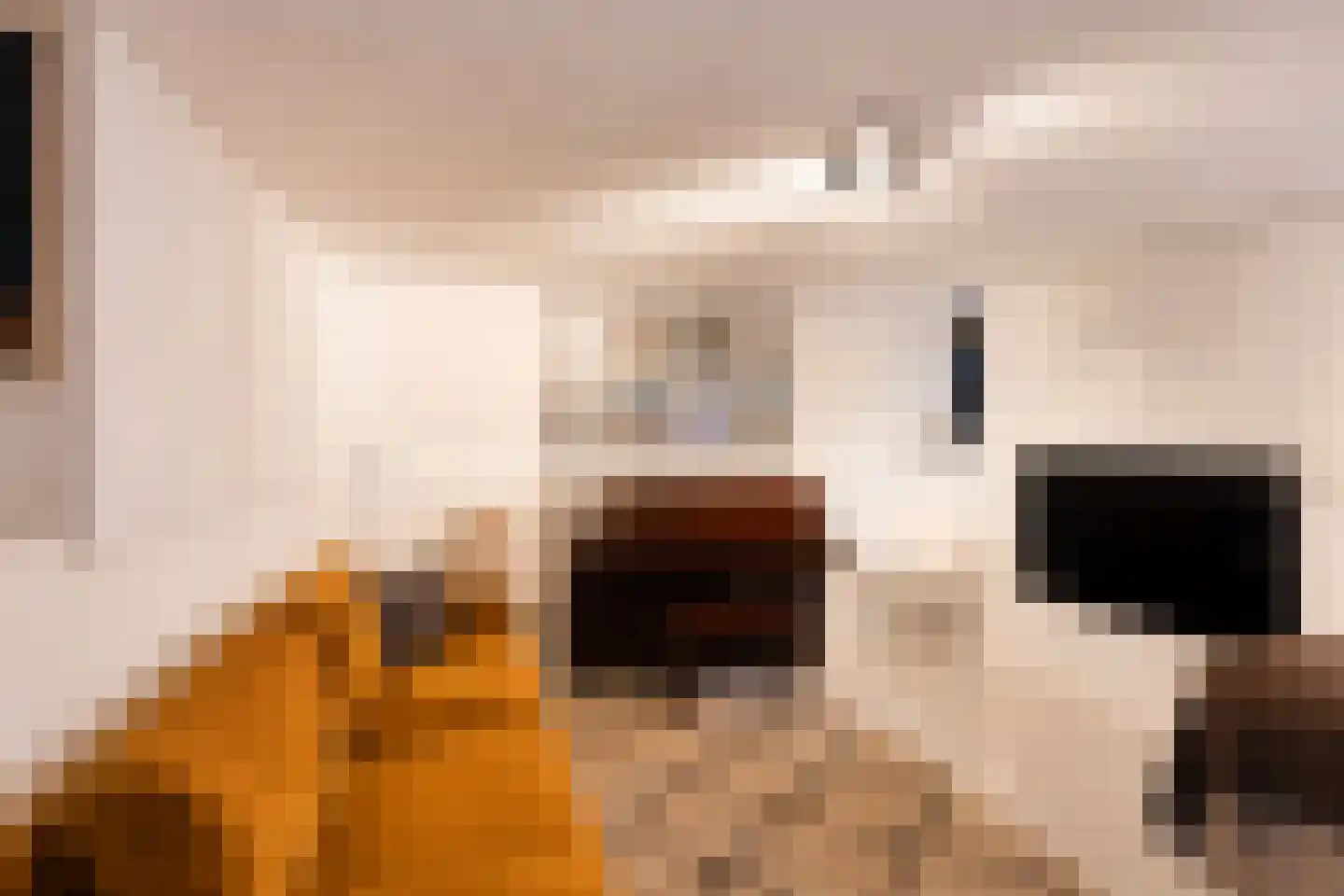 Herengracht 86 Muiden thumbnail 43
