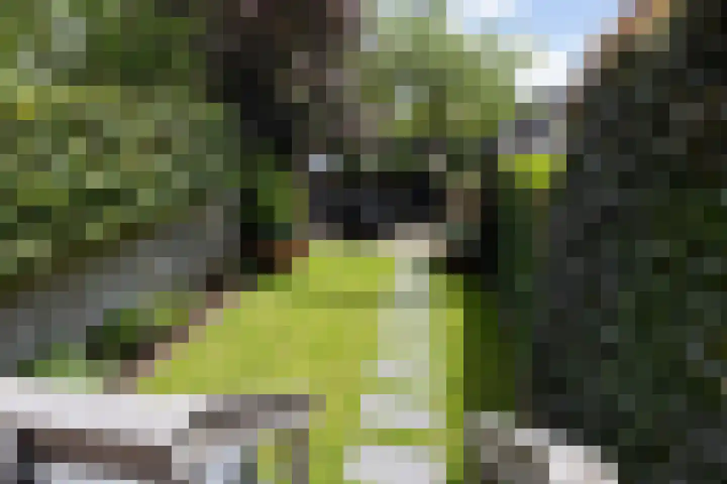 Herengracht 86 Muiden thumbnail 8