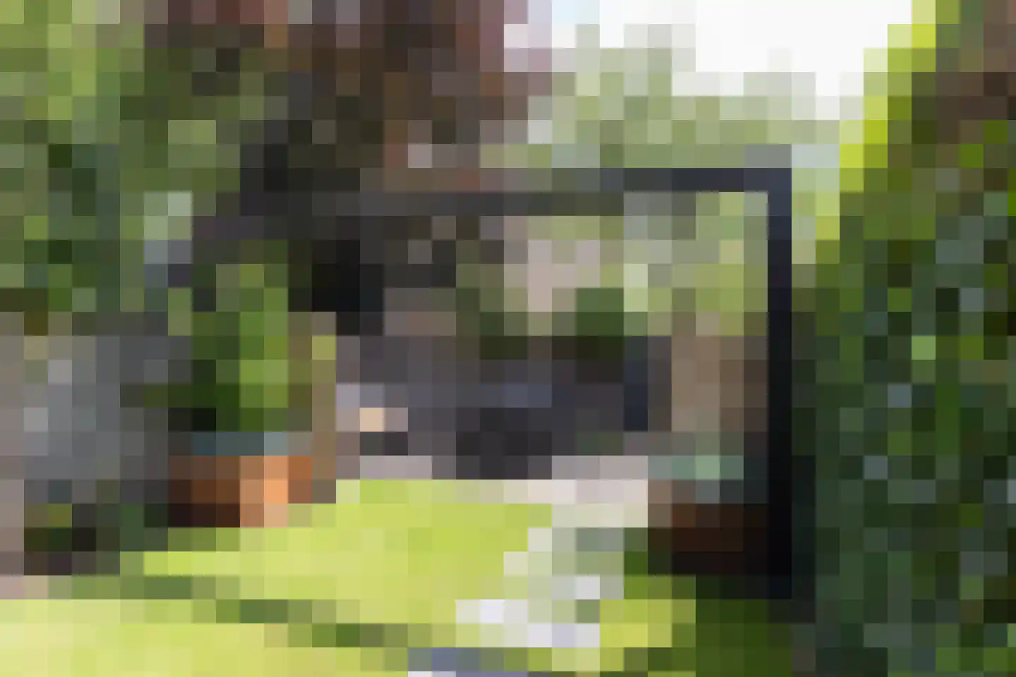 Herengracht 86 Muiden thumbnail 9