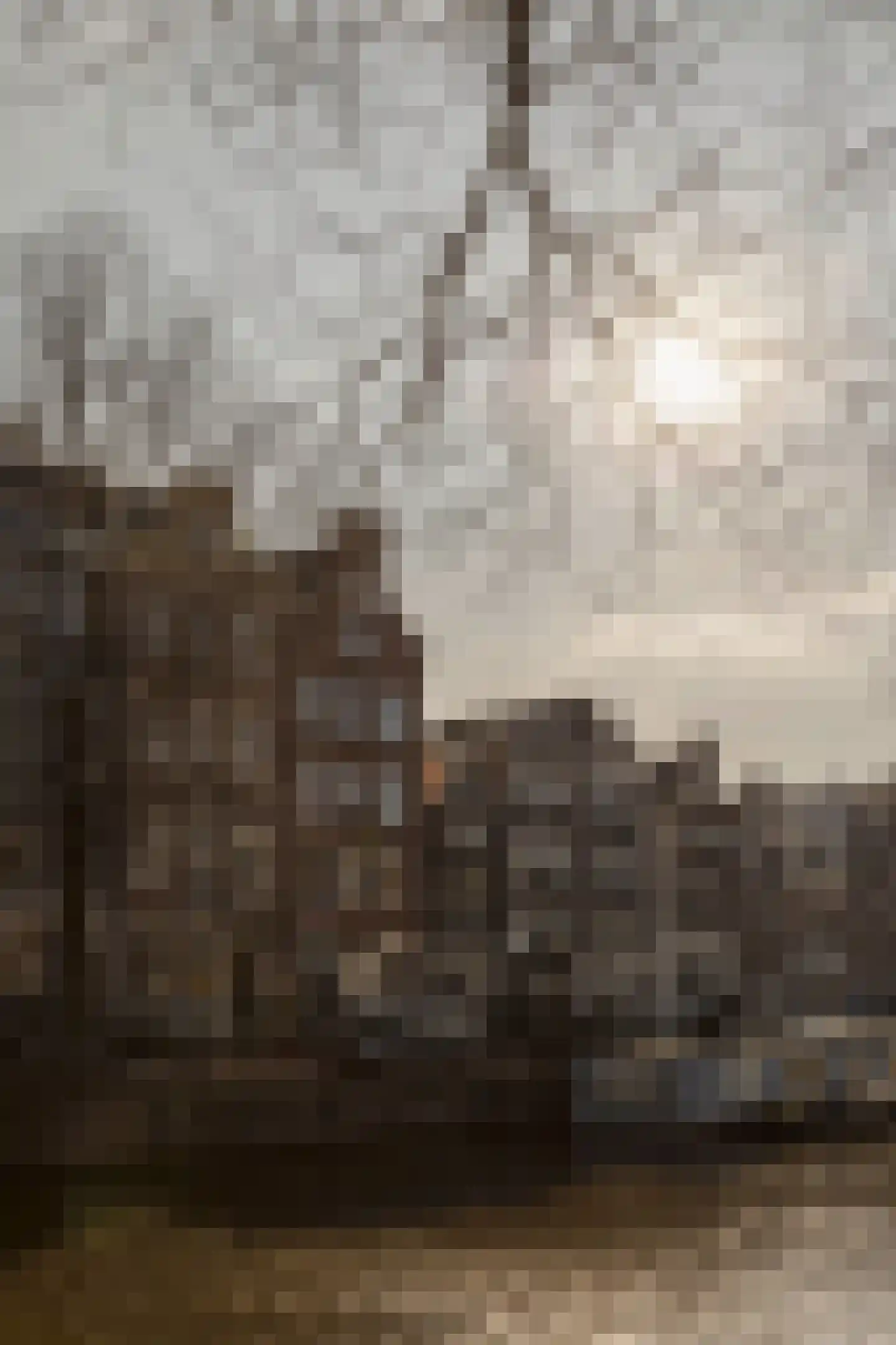 Herengracht 9 A Amsterdam thumbnail 12