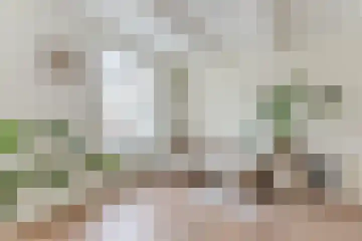 Herengracht 90 C Amsterdam thumbnail 9