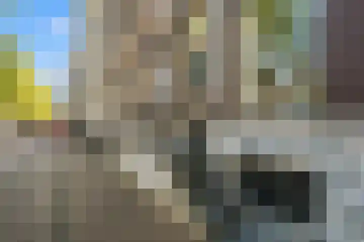 Herengracht 92 HV Amsterdam thumbnail 38