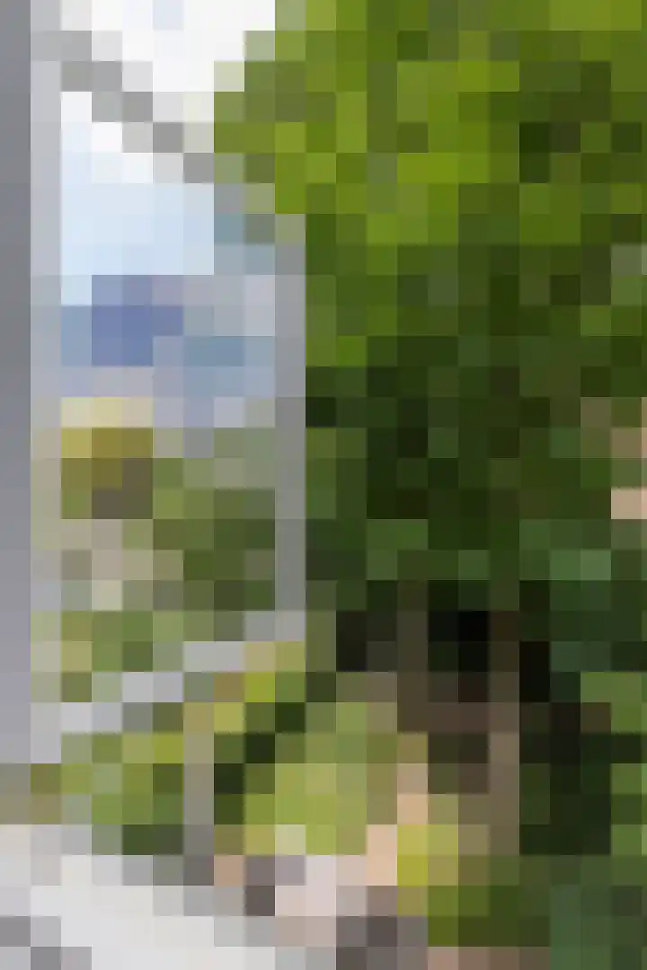 Herengracht 98 E Amsterdam thumbnail 9