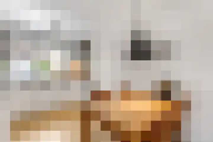 Herenhof 17 Ede thumbnail 8