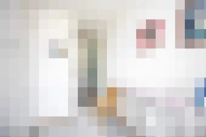 Herenhof 19 Leiderdorp thumbnail 21