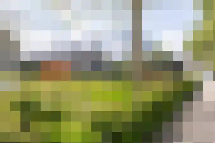 Herenhof 19 Leiderdorp thumbnail 34