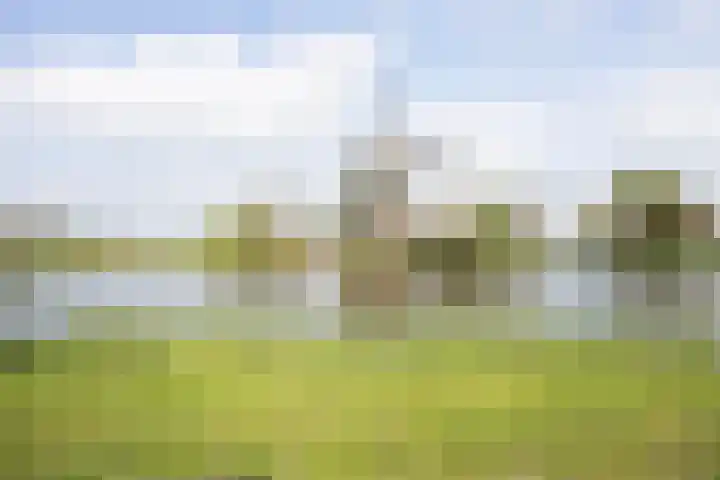 Herenhof 19 Leiderdorp thumbnail 36