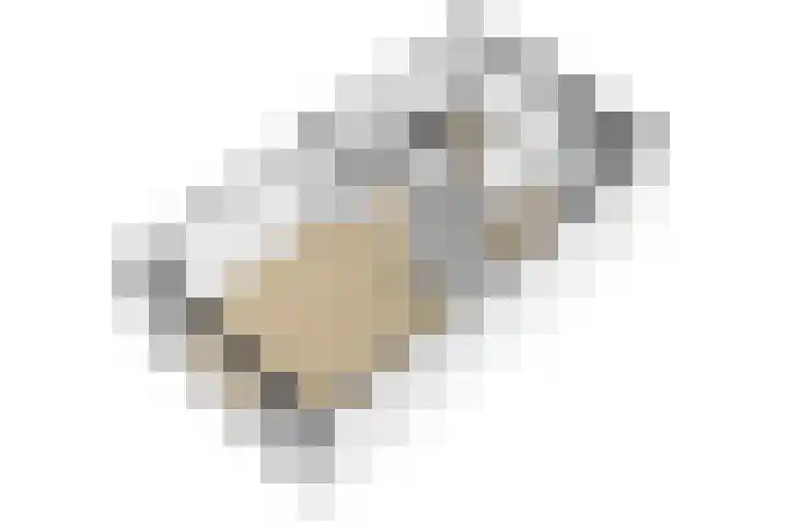 Herenhof 19 Leiderdorp thumbnail 42