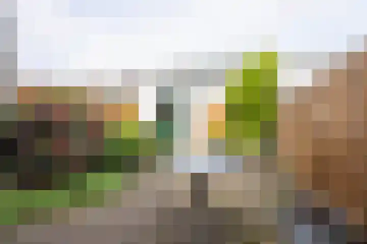 Herenhof 19 Leiderdorp thumbnail 8