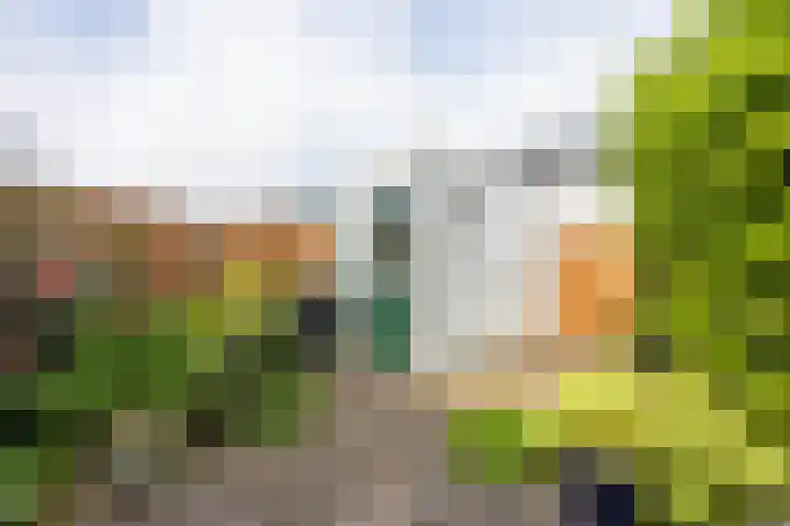 Herenhof 19 Leiderdorp thumbnail 9