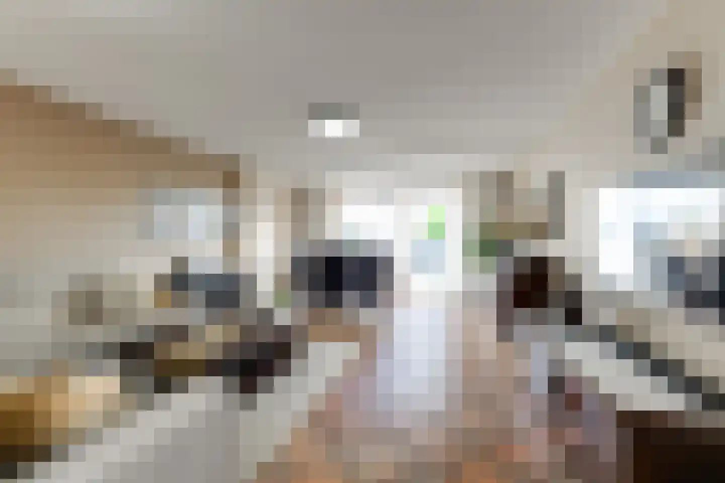 Herenhof 21 Leiderdorp thumbnail 10