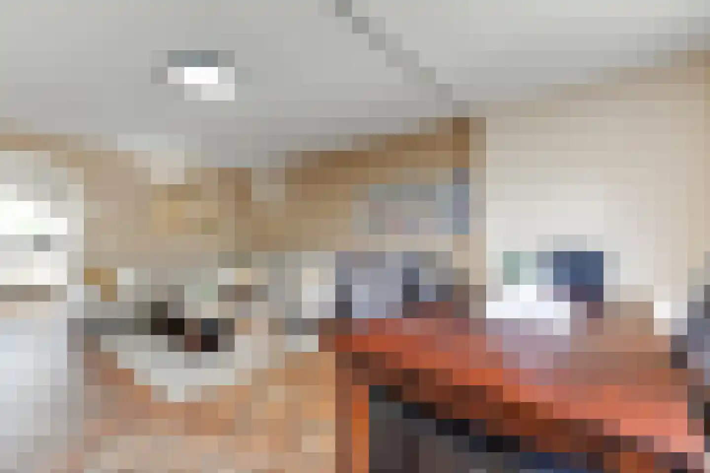 Herenhof 21 Leiderdorp thumbnail 12