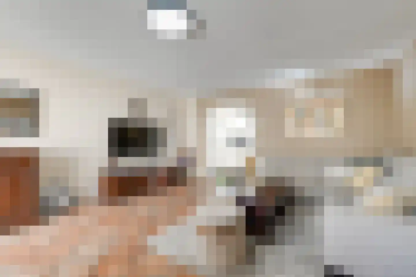 Herenhof 21 Leiderdorp thumbnail 13