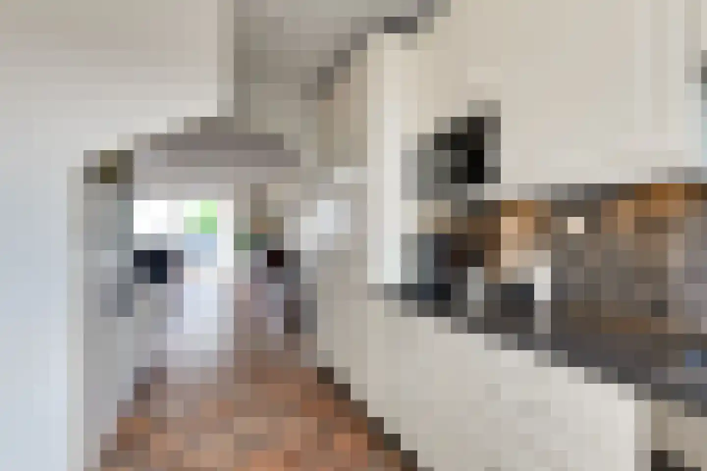 Herenhof 21 Leiderdorp thumbnail 16