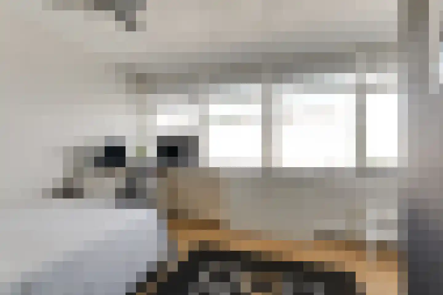 Herenhof 21 Leiderdorp thumbnail 23