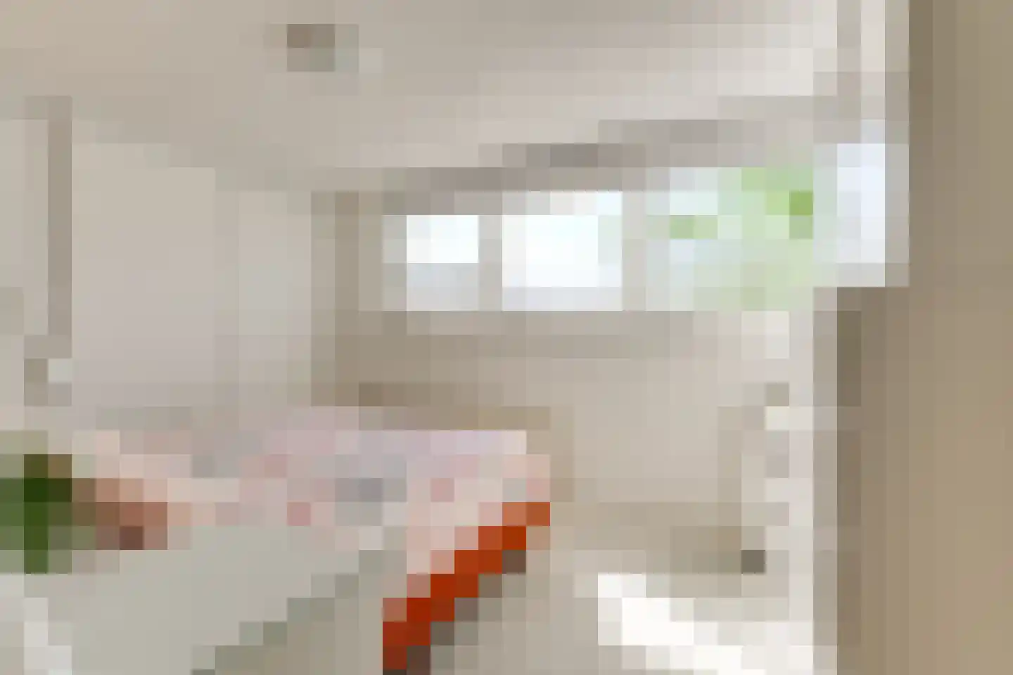 Herenhof 21 Leiderdorp thumbnail 26