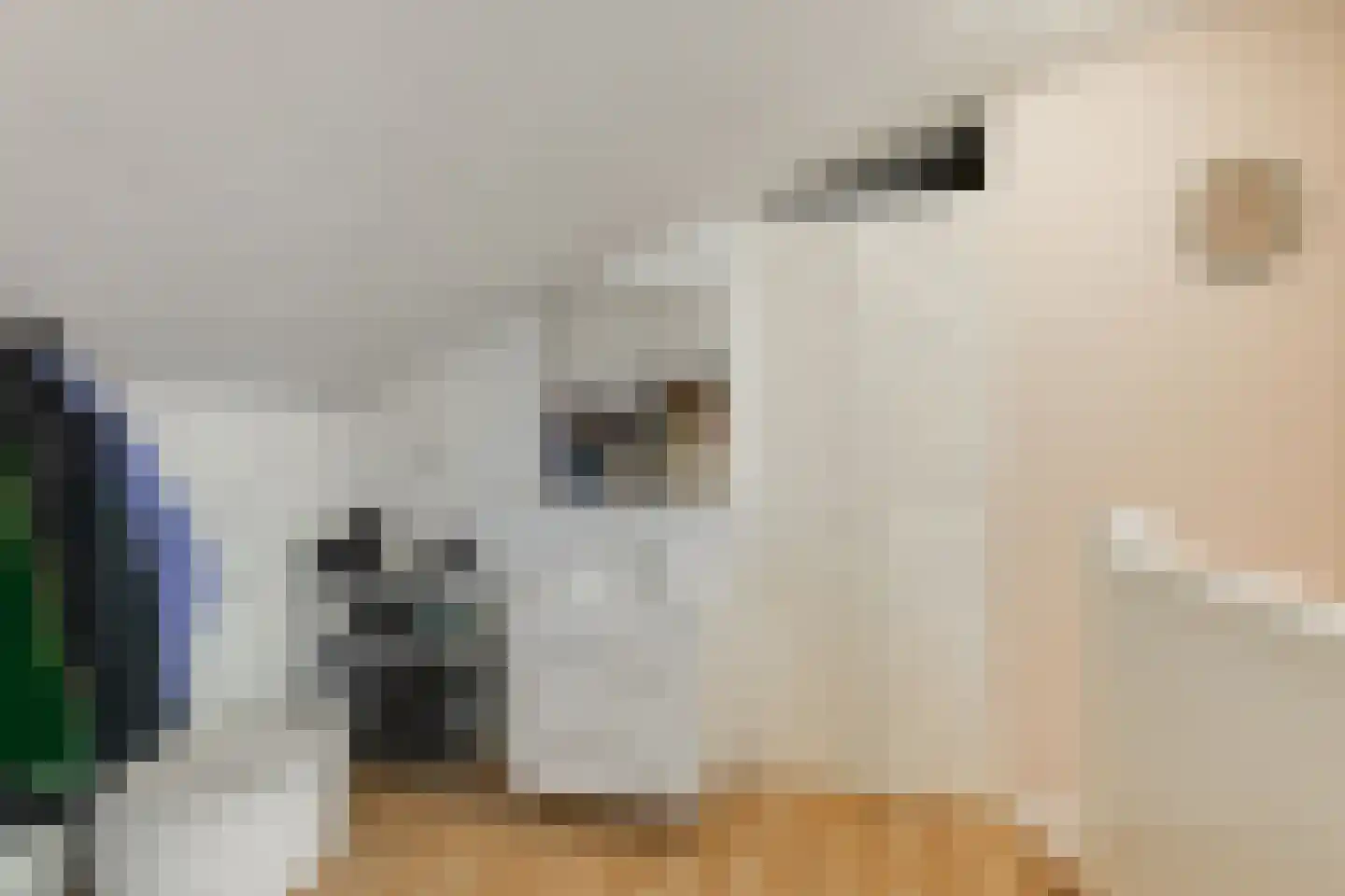 Herenhof 21 Leiderdorp thumbnail 32